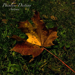 巨乳女教师在线
