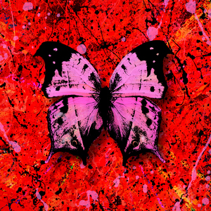 巨乳女教师在线
